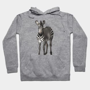 Cute Quagga Drawing Hoodie